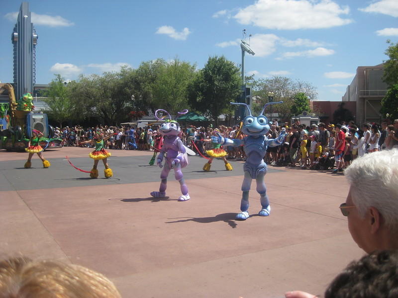 IMG 0102