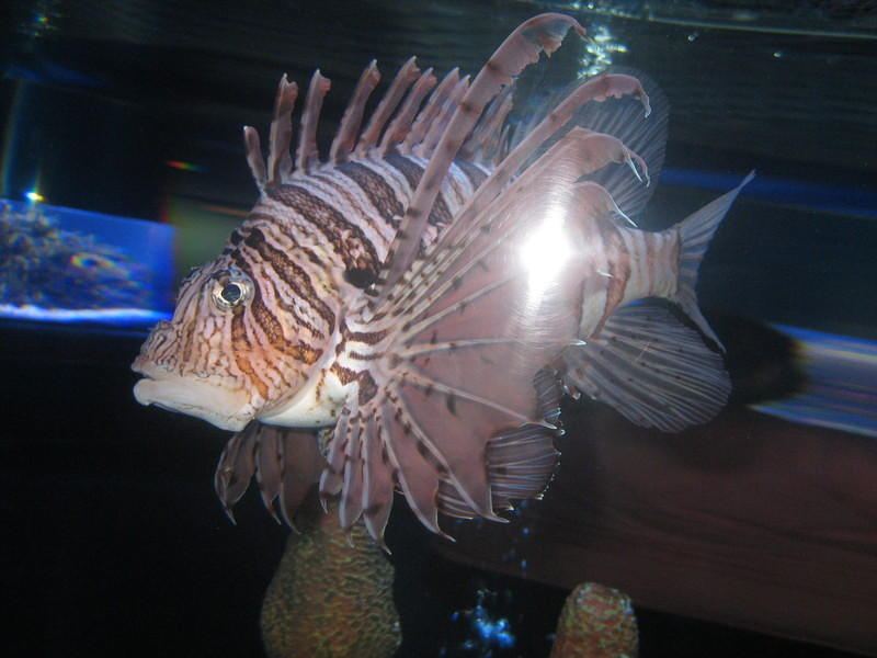 IMG 0215