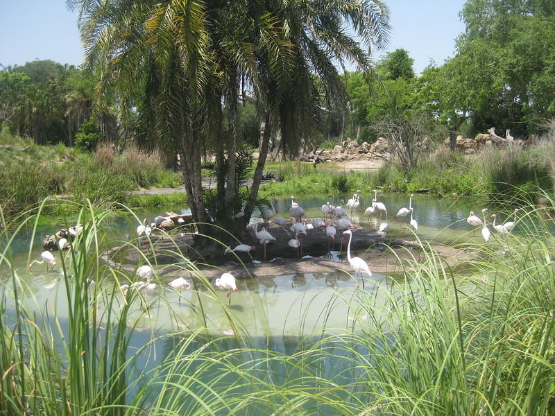 IMG 0266