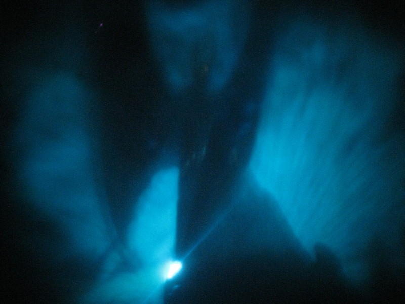 IMG 0302