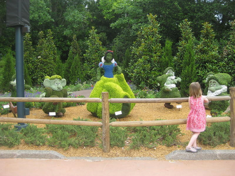 IMG 0328