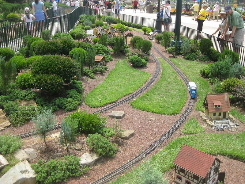 IMG 0329