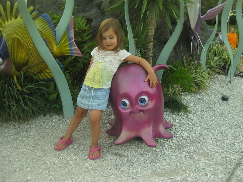 IMG 0354
