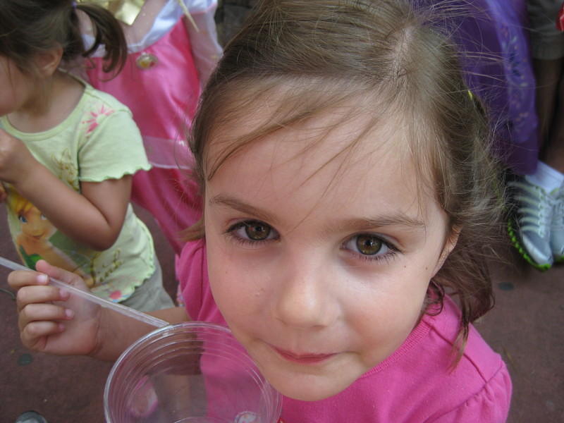 IMG 0378