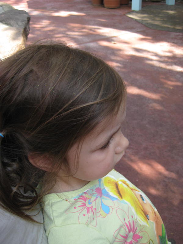 IMG 0381