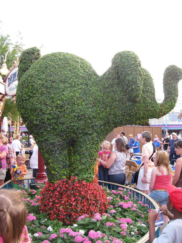 IMG 0401