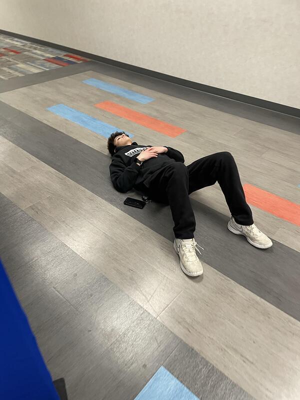 IMG 2729