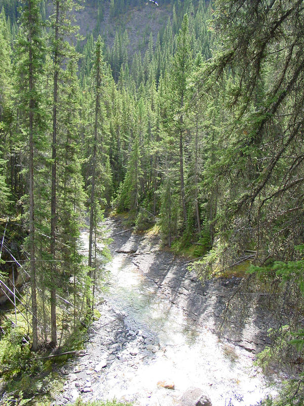 DSC00915.jpg