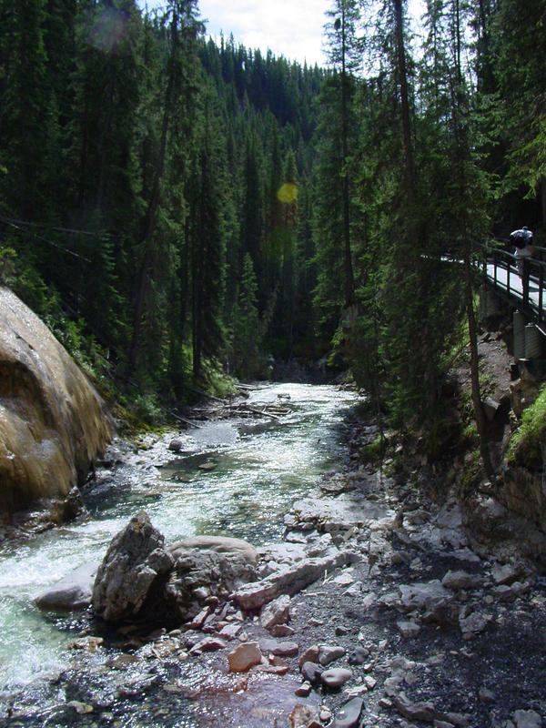 DSC00917.jpg