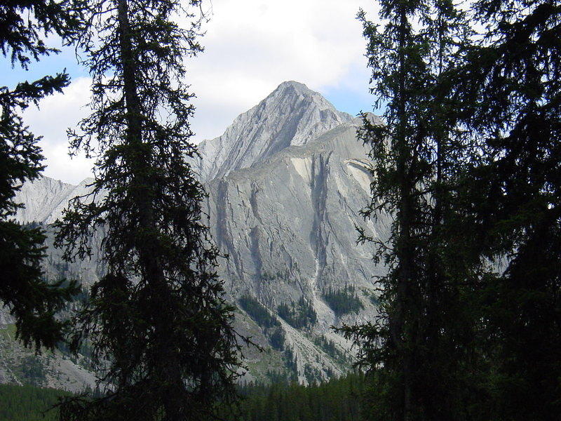 DSC00920.jpg