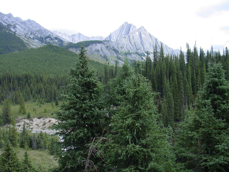 DSC00921.jpg