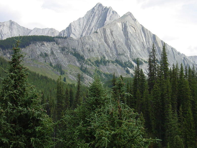 DSC00922.jpg