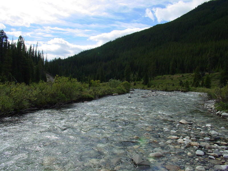 DSC00925.jpg