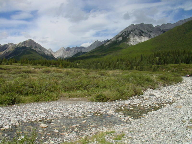 DSC00928.jpg