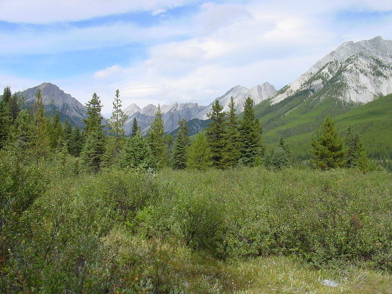 DSC00929.jpg