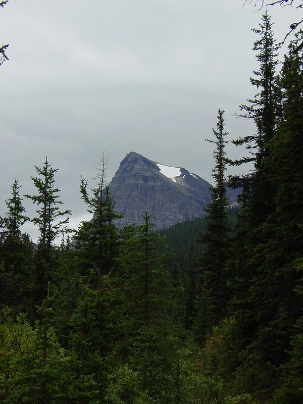 DSC00978.jpg