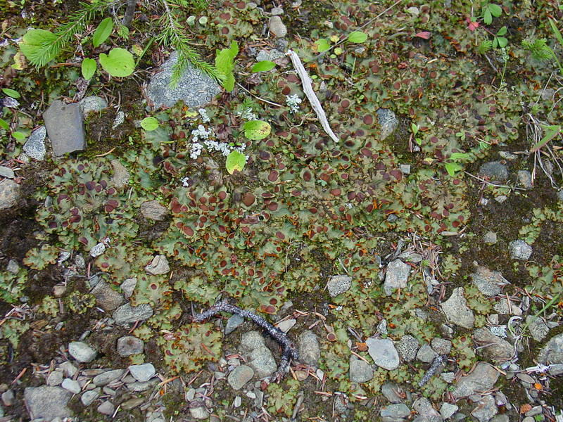 DSC00983.jpg