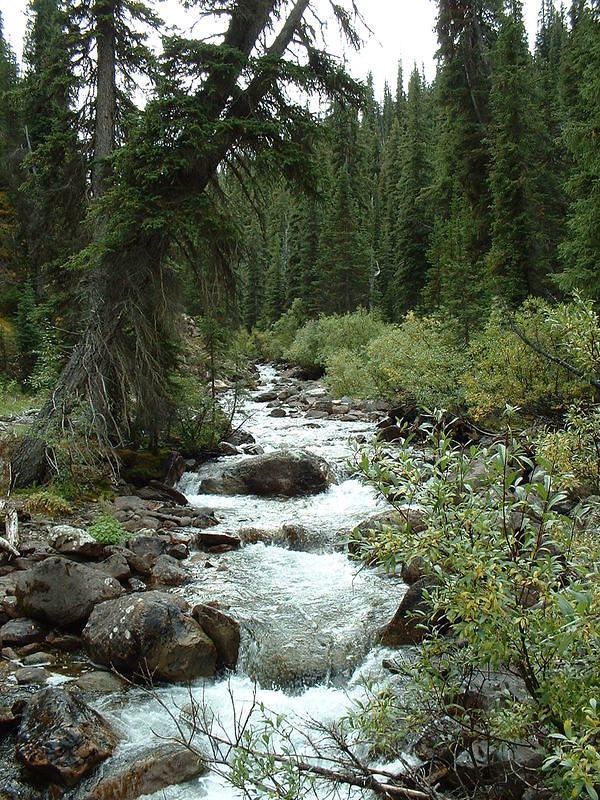banff2002_0902AD.jpg