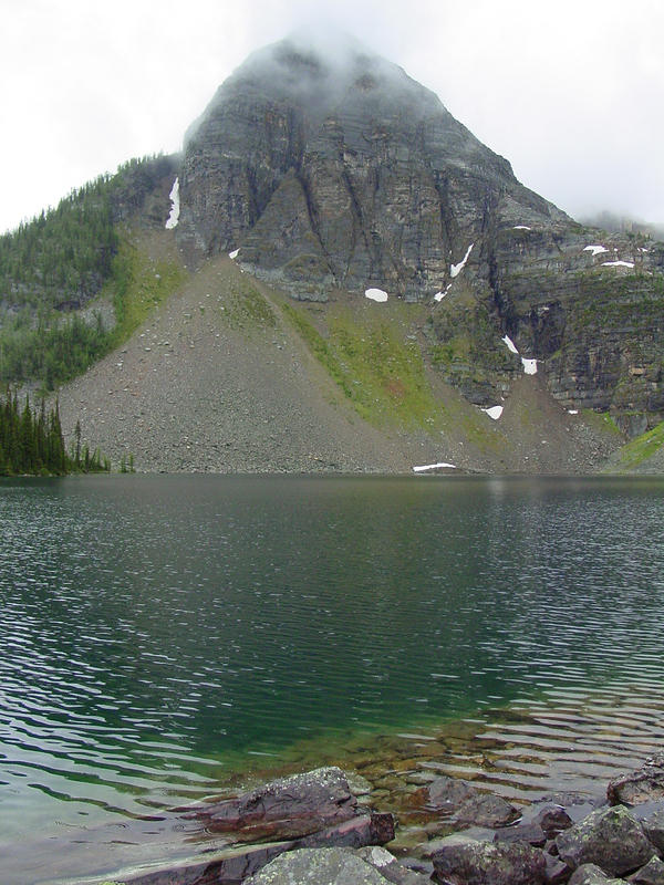 DSC00989.jpg