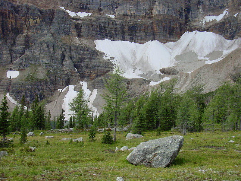 DSC01037.jpg