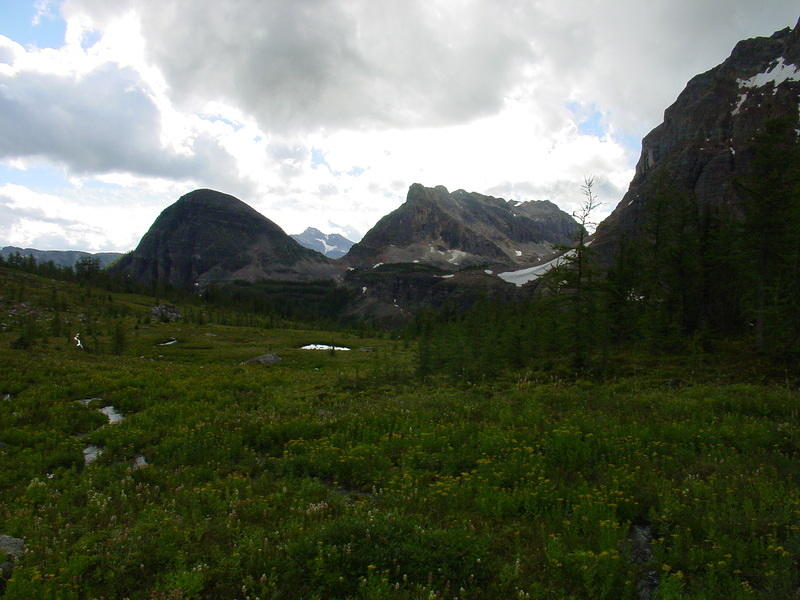 DSC01040.jpg