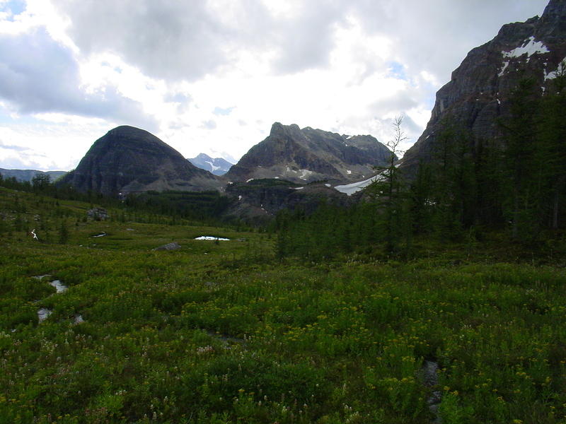 DSC01041.jpg