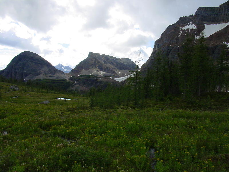 DSC01042.jpg