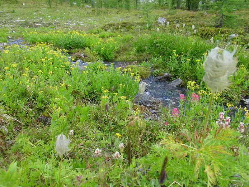 DSC01044.jpg