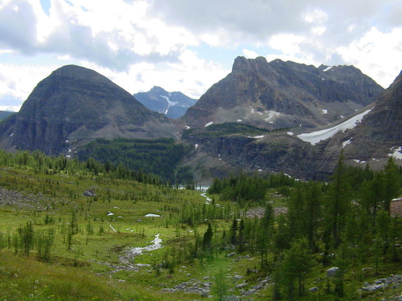 DSC01046.jpg