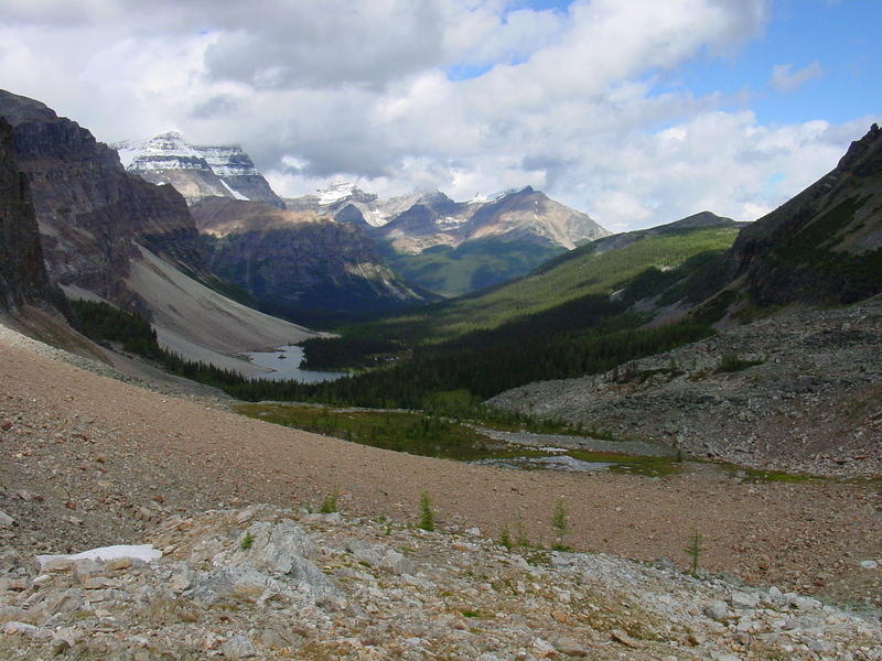 DSC01050.jpg