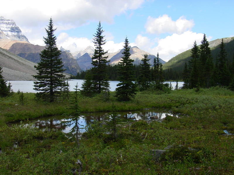 DSC01061.jpg