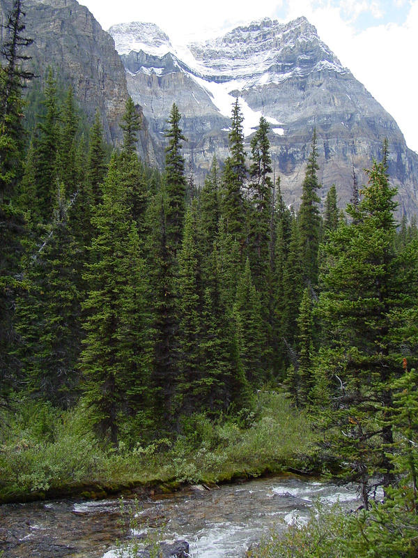 DSC01069.jpg