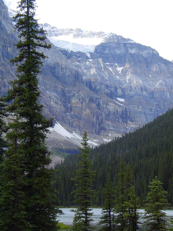 DSC01072.jpg