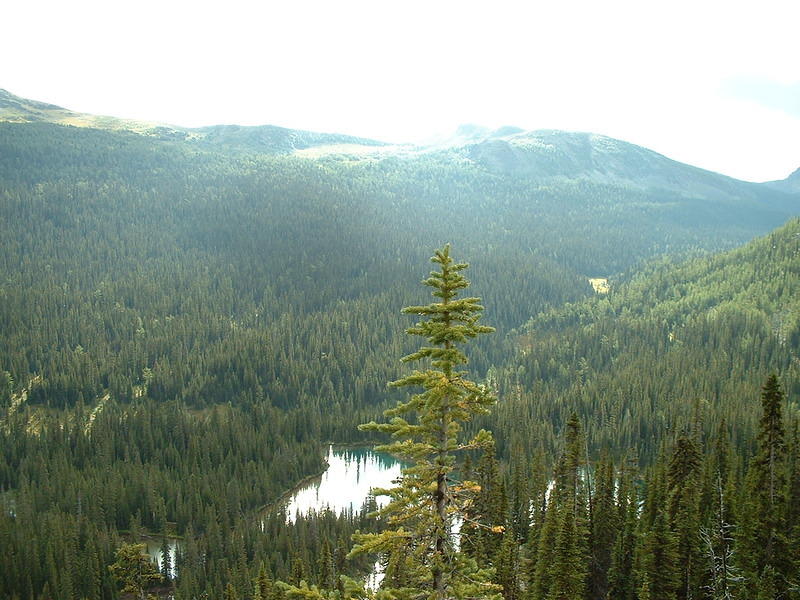 banff2002_0904AB.jpg