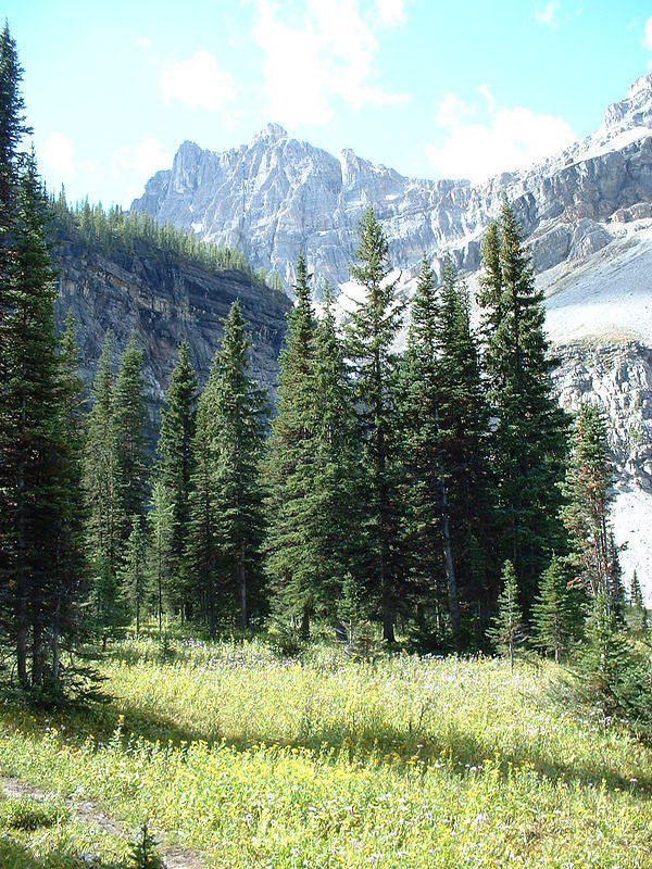 banff2002_0904AO.jpg