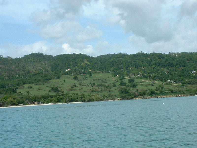 DSCF0026.jpg