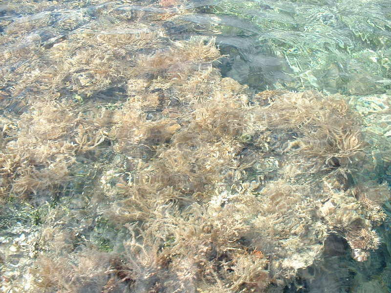 DSCF0035.jpg
