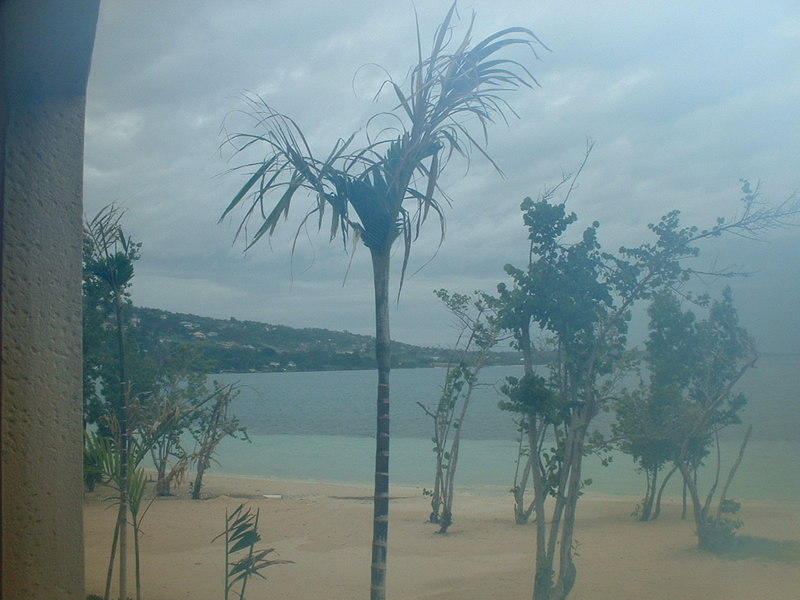 DSCF0065.jpg