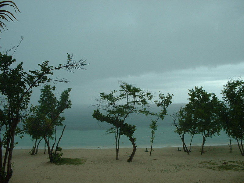 DSCF0070.jpg