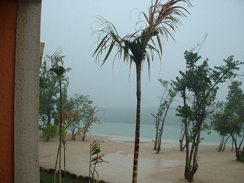 DSCF0071.jpg