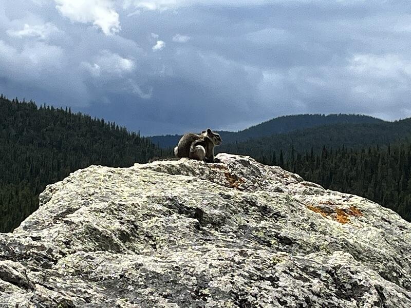IMG 0075