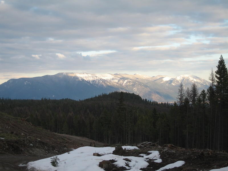 IMG_5775.JPG