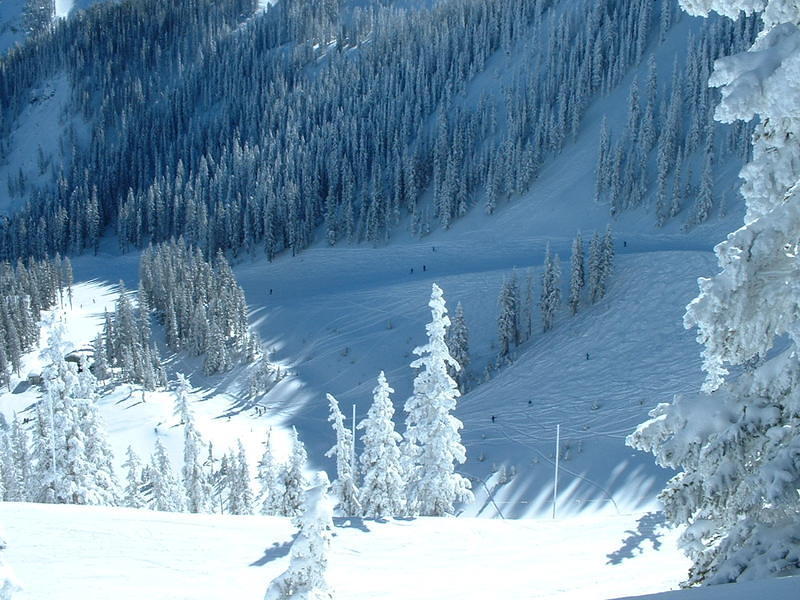 DSCF0032.jpg