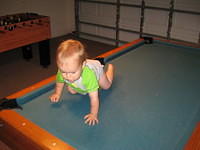 IMG 0427