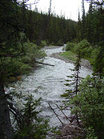 DSC00969.jpg
