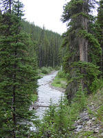 DSC00973.jpg