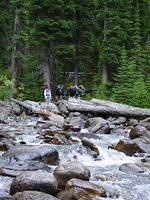 DSC00975.jpg