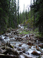 DSC00976.jpg