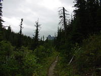 DSC00977.jpg