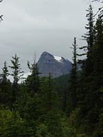 DSC00978.jpg